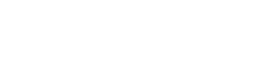 Zug Boat Rental white blue logo